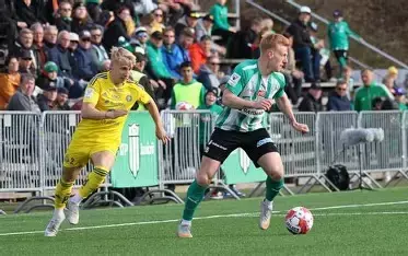 芬兰杯通常什么时候开始