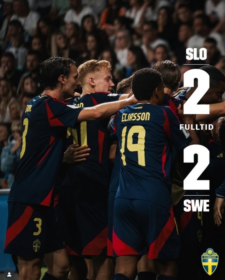 斯洛文尼亚2-2瑞典