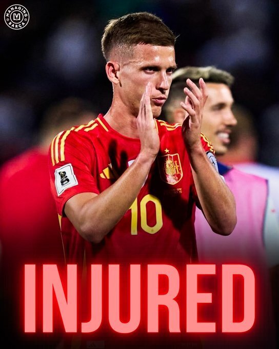 奥尔莫因伤退出