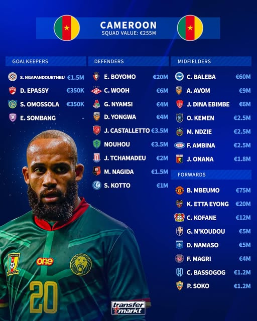 喀麦隆的非洲杯大名单