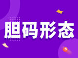 排列三第2025335期胆码形态推荐 各形态分析