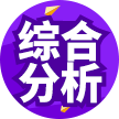 综合分析