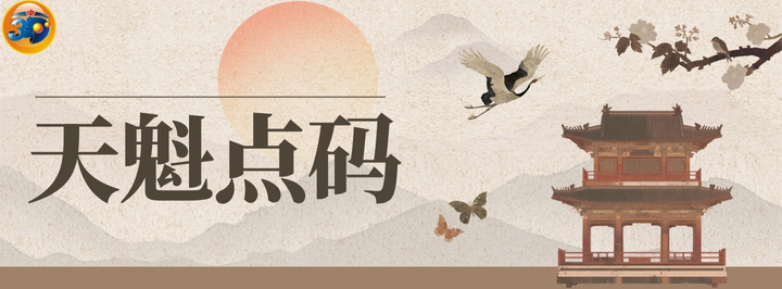天魁点码专栏