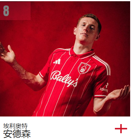 埃利奥特·安德森