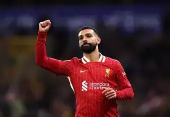 非洲杯最新夺冠概率重磅来袭